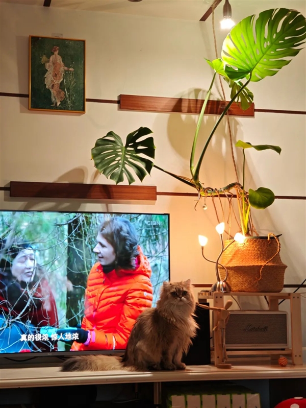 一件超小事：做完在家中就能體會(huì)露營的快樂！