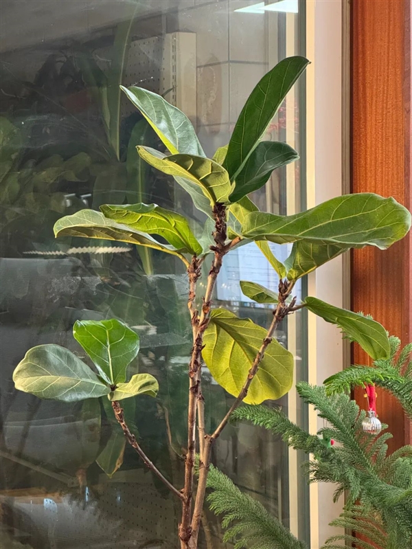 一件超小事：做完在家中就能體會(huì)露營的快樂！