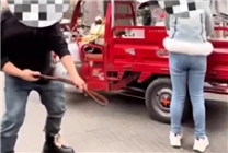 為博流量無下限！四川3名網(wǎng)紅街頭拍低俗視頻被行政處罰