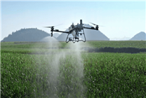 00后女生做無人機飛手 年入40萬