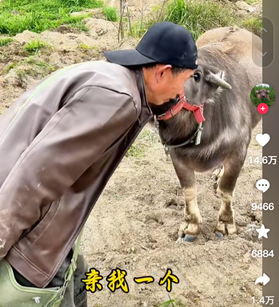 有人做網(wǎng)紅靠口才 有人做網(wǎng)紅靠坐過牢