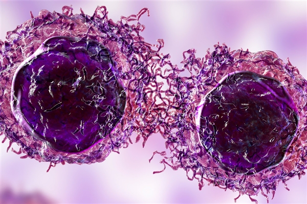 網(wǎng)紅Coser“若童”因腸癌去世：年僅32歲