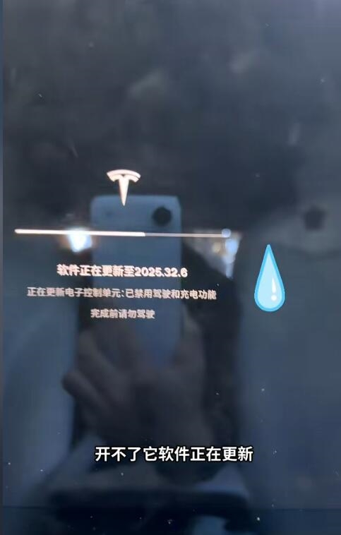 楊天真吐槽特斯拉系統(tǒng)更新打不開車門 只能從后備箱爬進(jìn)去